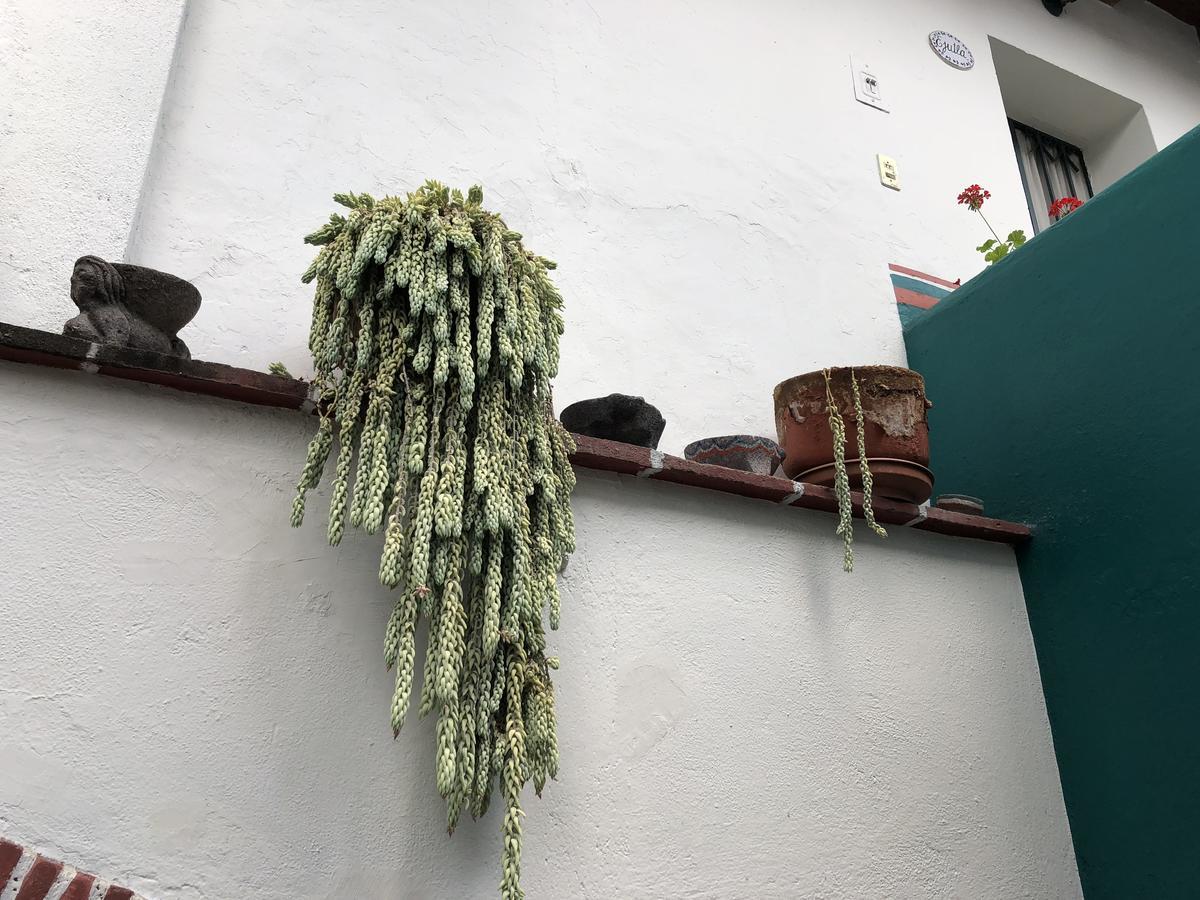 Meson Del Penasco Apartman Oaxaca Kültér fotó