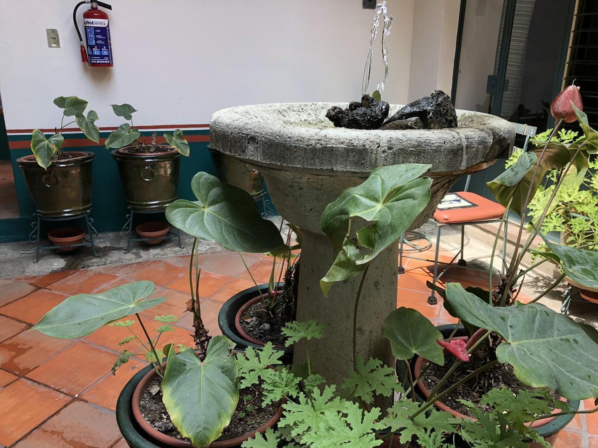 Meson Del Penasco Apartman Oaxaca Kültér fotó